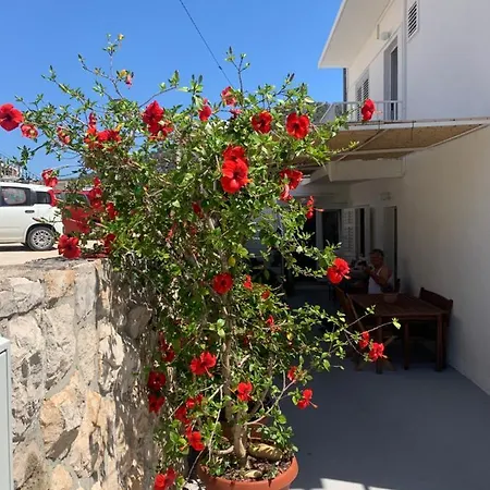 Апартаменти Nikola Stipisic *