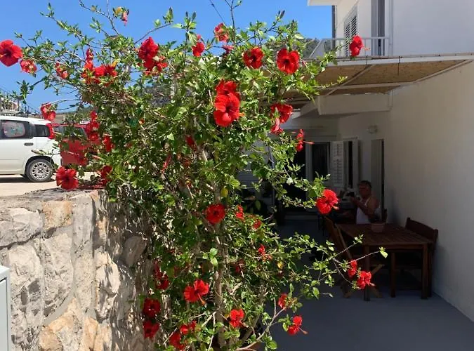 Apartmán Nikola Stipisic *