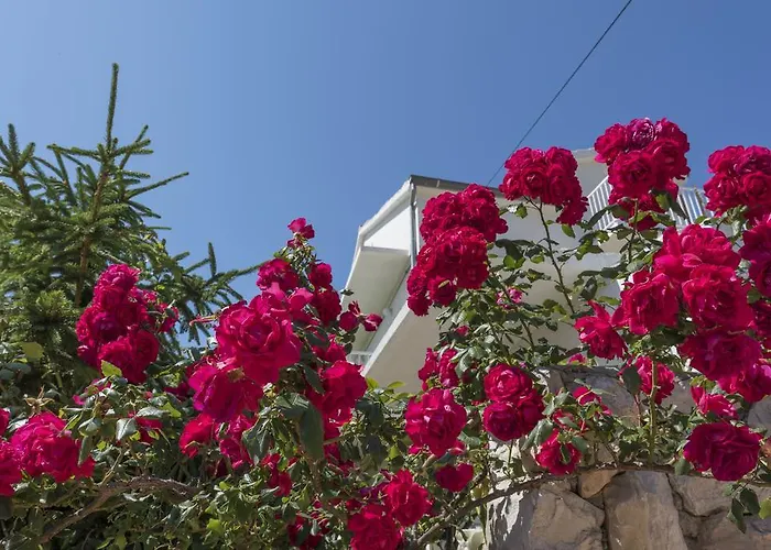 Apartment Nikola Stipisic *