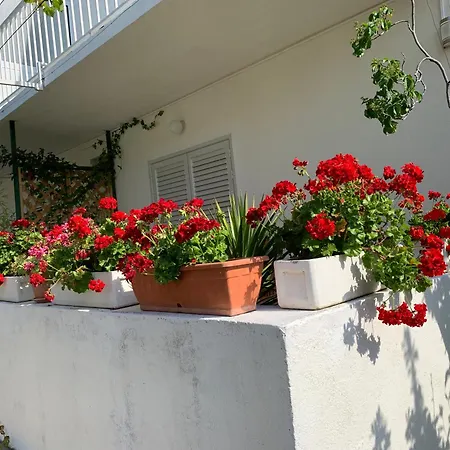 Apartment Nikola Stipisic Hvar Town