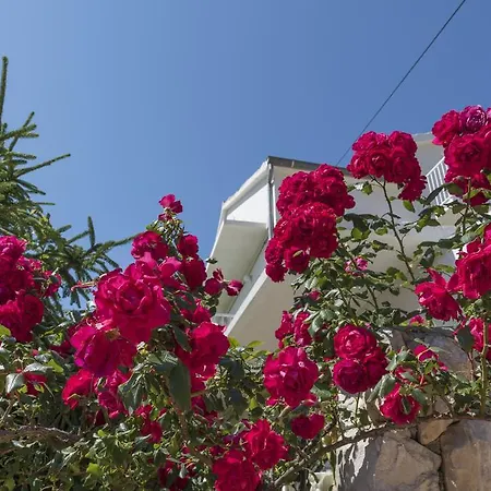 Apartman Nikola Stipisic *