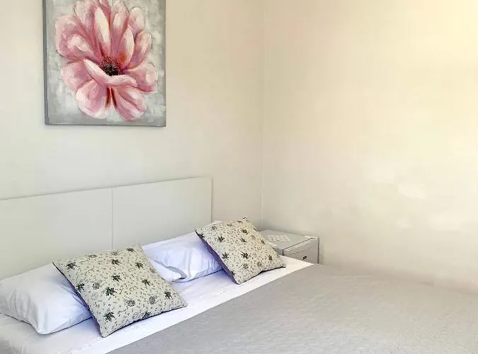 Nikola Stipisic هفار