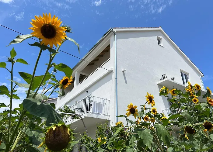 Nikola Stipisic هفار